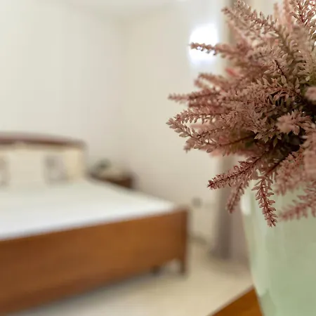 Appartamento La Beddha By Interhome Palau